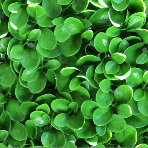 DIY vs. Professional Artificial Hedge Installation