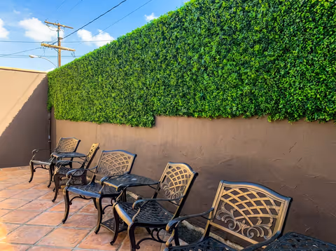 450 sq ft artificial living wall in San Diego using Dragon Mat image 3