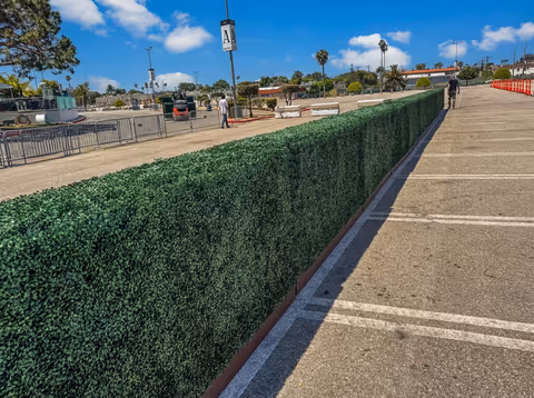 Kia Forum: 64 modular artificial hedge panels for crowd control image 7