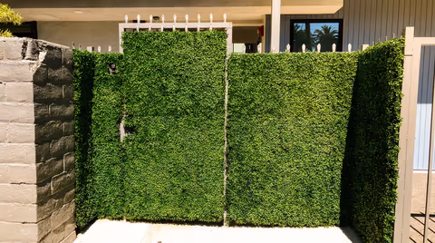Artificial boxwood living wall for an apartment security gate in Los Angeles, CA image 3