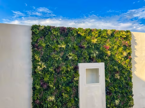 200 sq ft Vallum FRX artificial living wall for an LA apartment courtyard image 3
