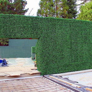 Custom Hedge Wall