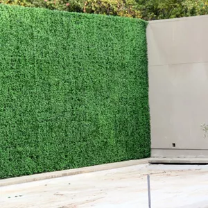 Custom Hedge Wall