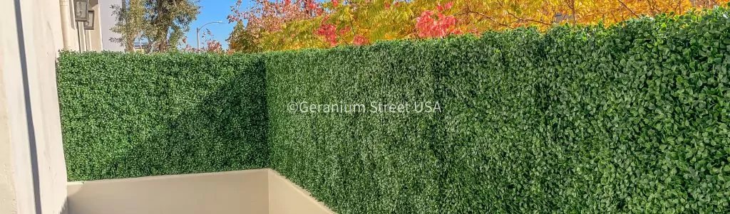 Variety of Hedge Styles